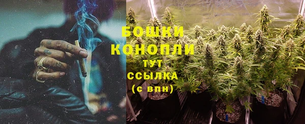 гидропоника Вяземский