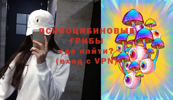 сатива Горнозаводск